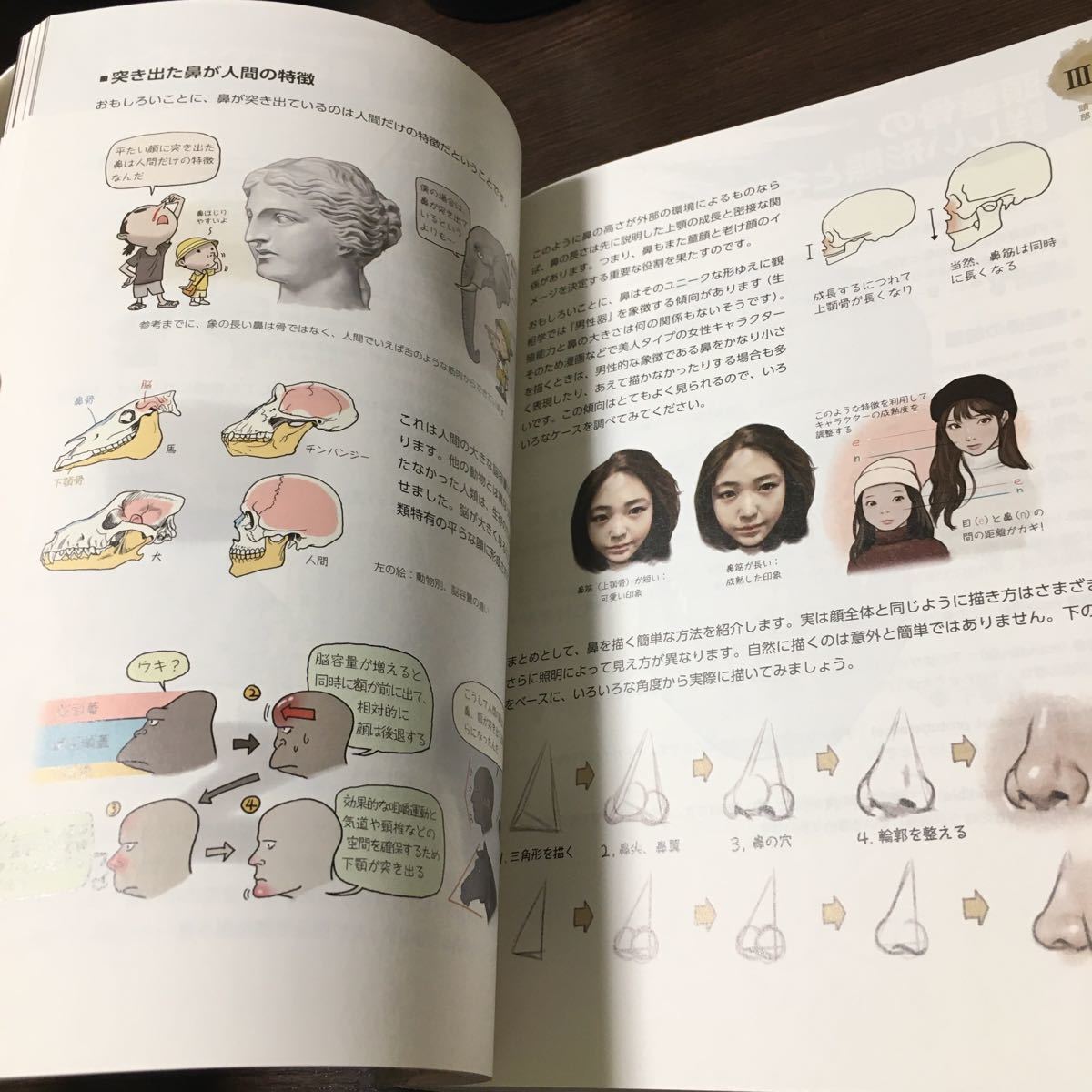 ソッカの美術解剖学ノート デジタルアーティストが知っておく