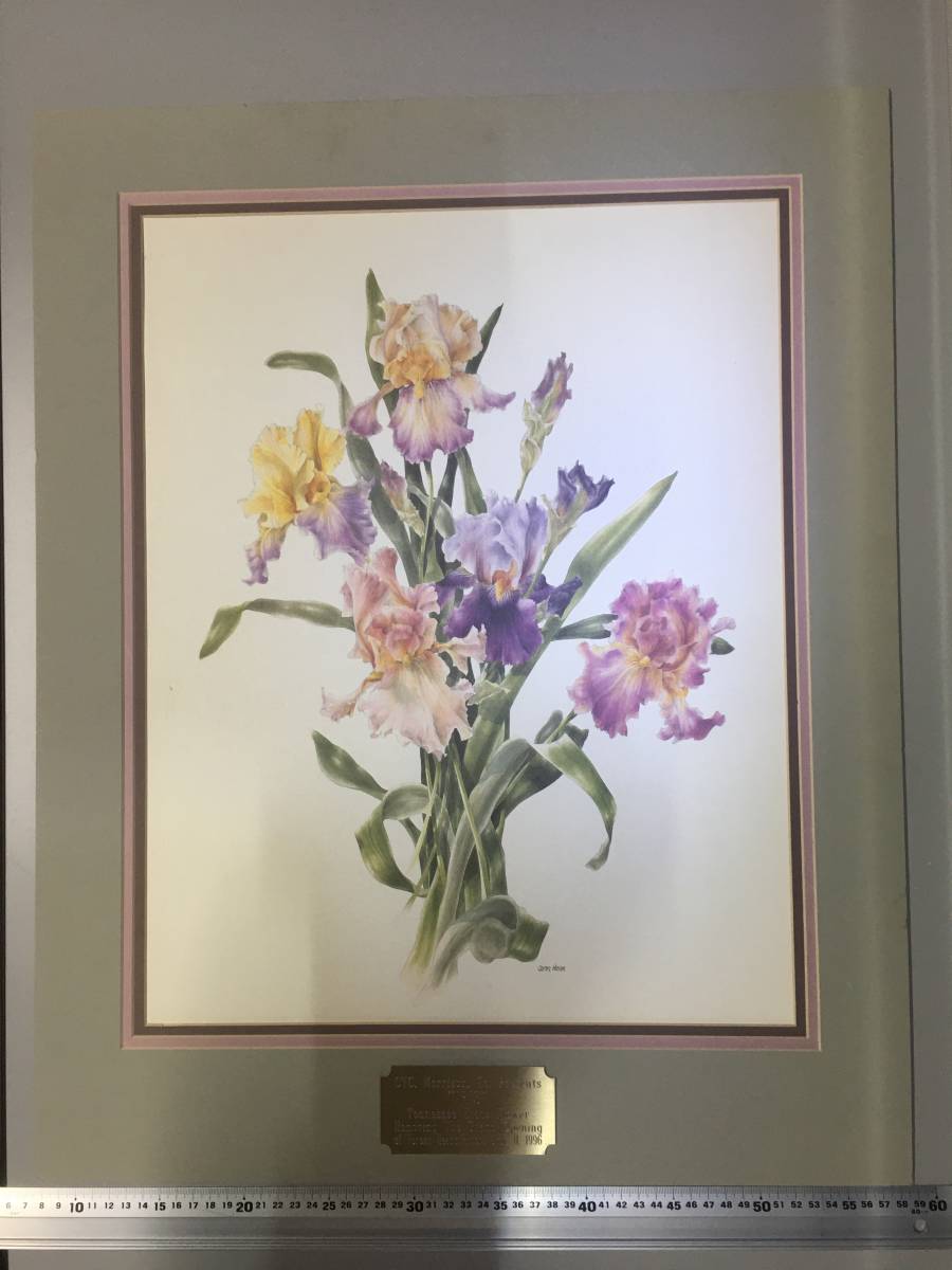 *[ excellent article .]* flower. . printing metal plate IRIS CMC.Morrison.Tn.Presents... made printing frame for rare article frame raw materials rare article picture orchid . Ran 