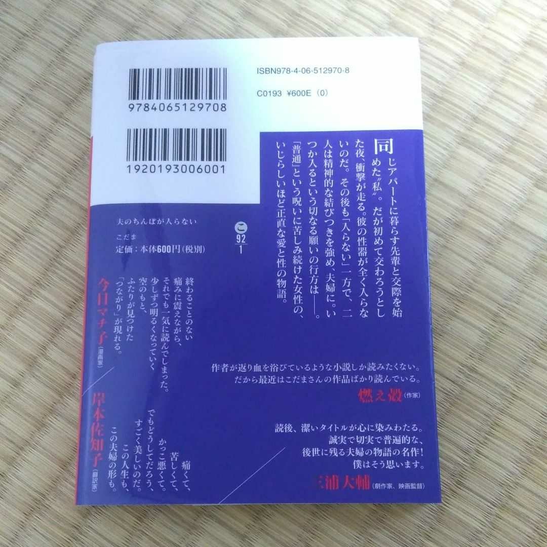 夫のちんぽが入らない こだま 講談社文庫