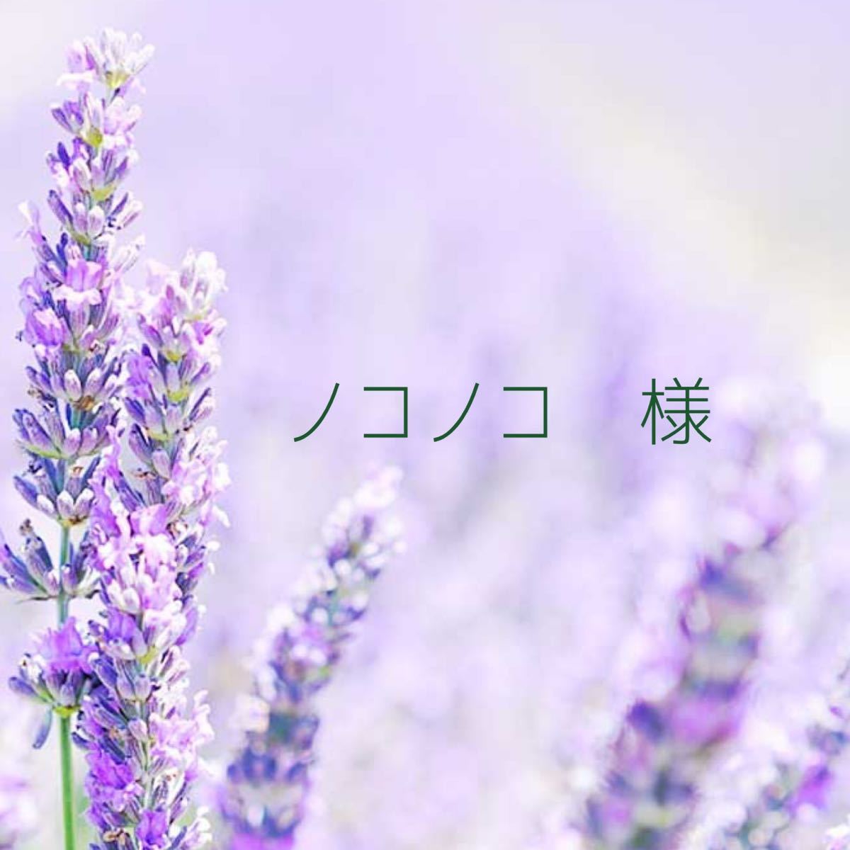 ノコノコ様 専用|Yahoo!フリマ(旧PayPayフリマ)