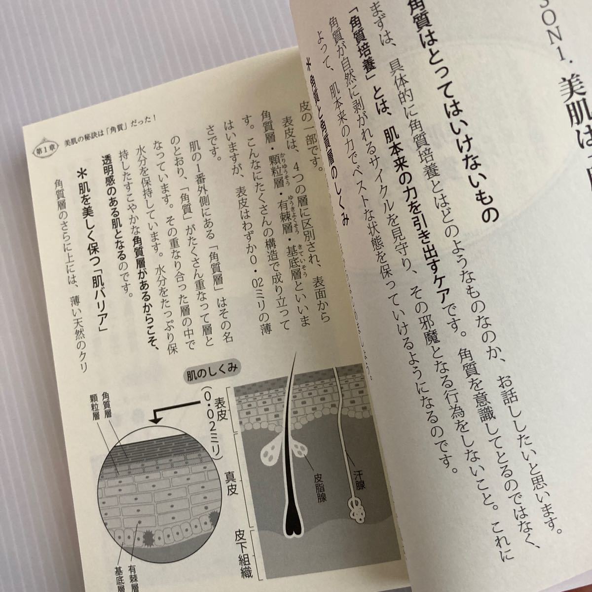 Paypayフリマ 何もしないスキンケアのすすめ 角質培養で素肌は美しくよみがえる 大森野々香 Paypayフリマ 何もしないスキンケアのすすめ 角質培養で素肌は美しくよみがえる 大森野々香
