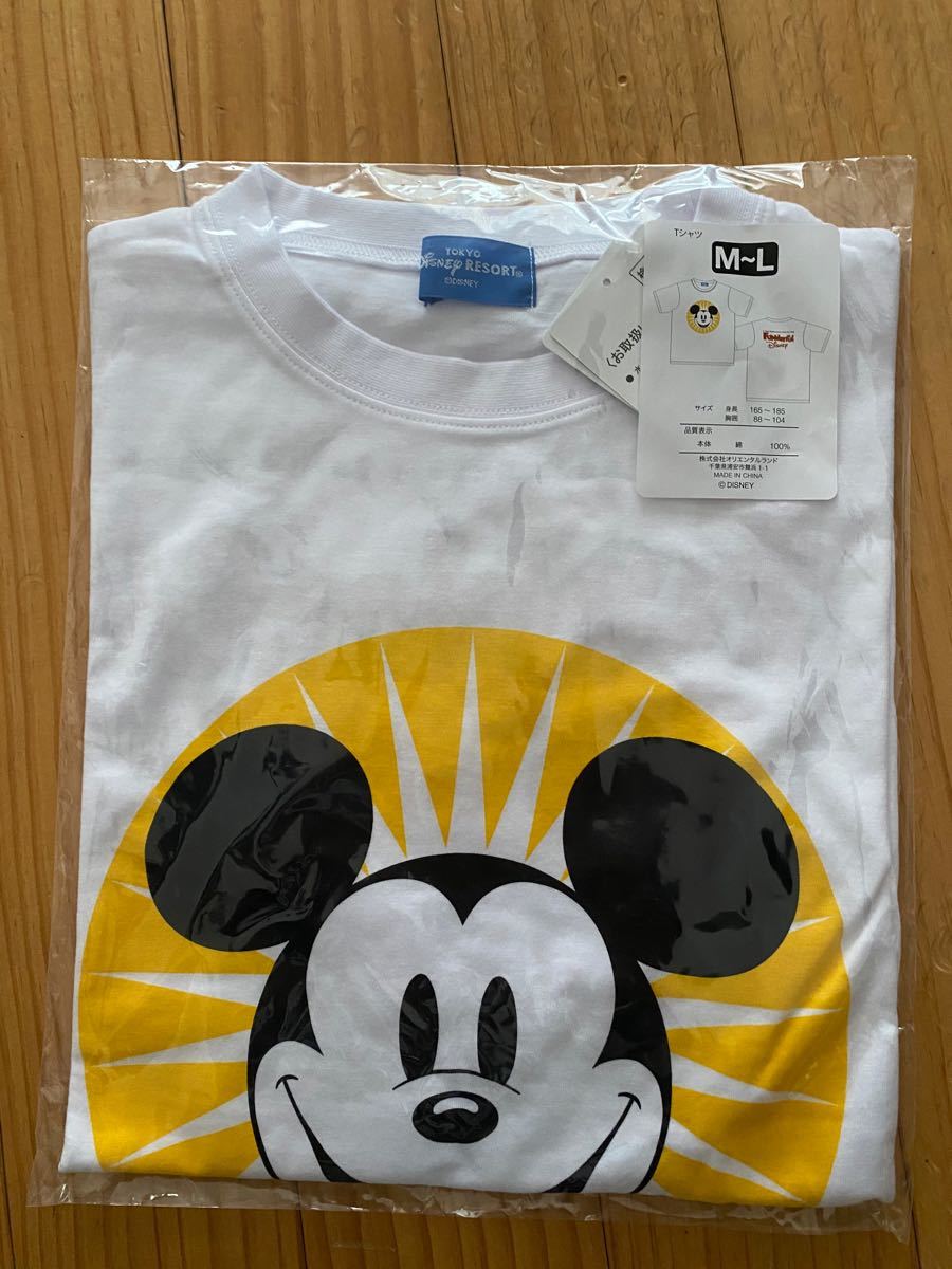 Paypayフリマ 東京ディズニーリゾート ファンダフルディズニー Disney Tシャツ サイズm L 新品未開封