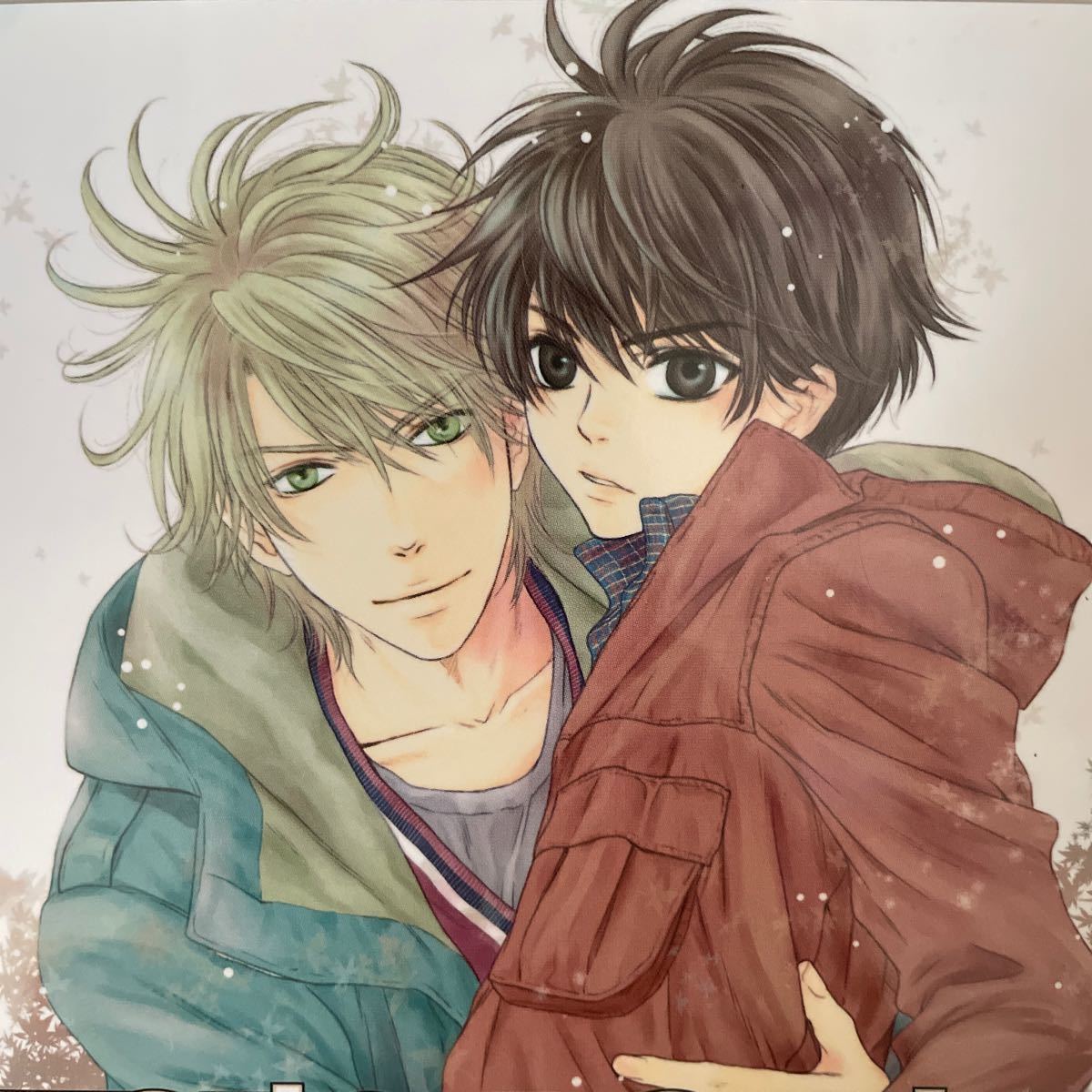 Paypayフリマ Super Lovers 6 あべ美幸 ワンコ攻め ほのぼの 男前受け 身長 体格差 アニメ化された王道の純粋bl