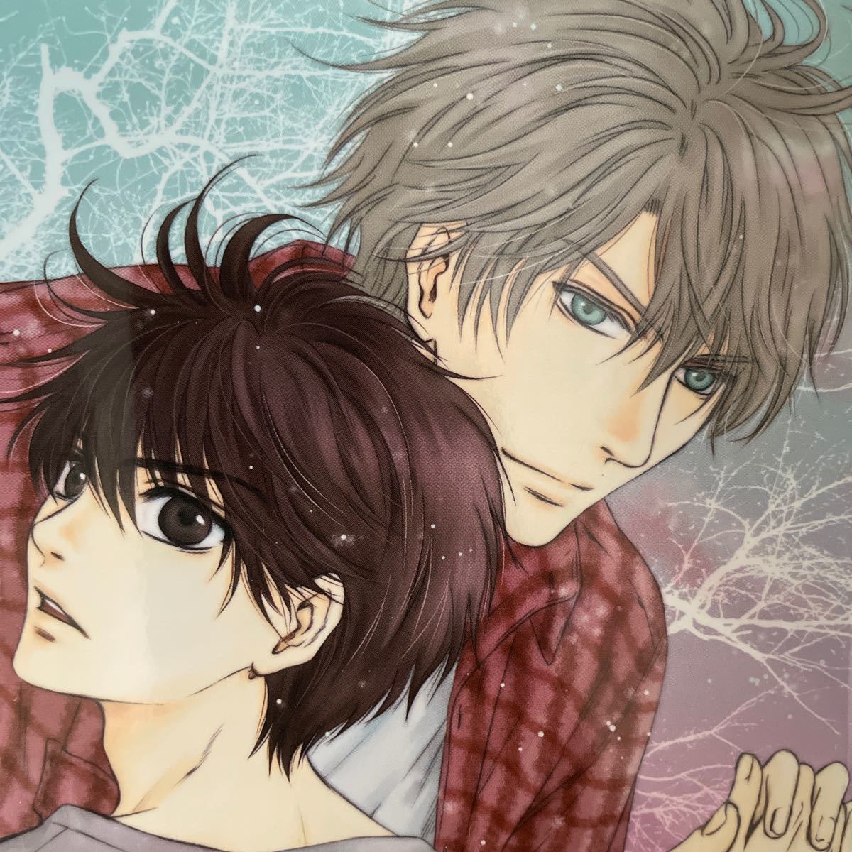 Paypayフリマ Super Lovers 10 あべ美幸 ワンコ攻め ほのぼの 男前受け 身長 体格差 アニメ化された王道の純粋bl