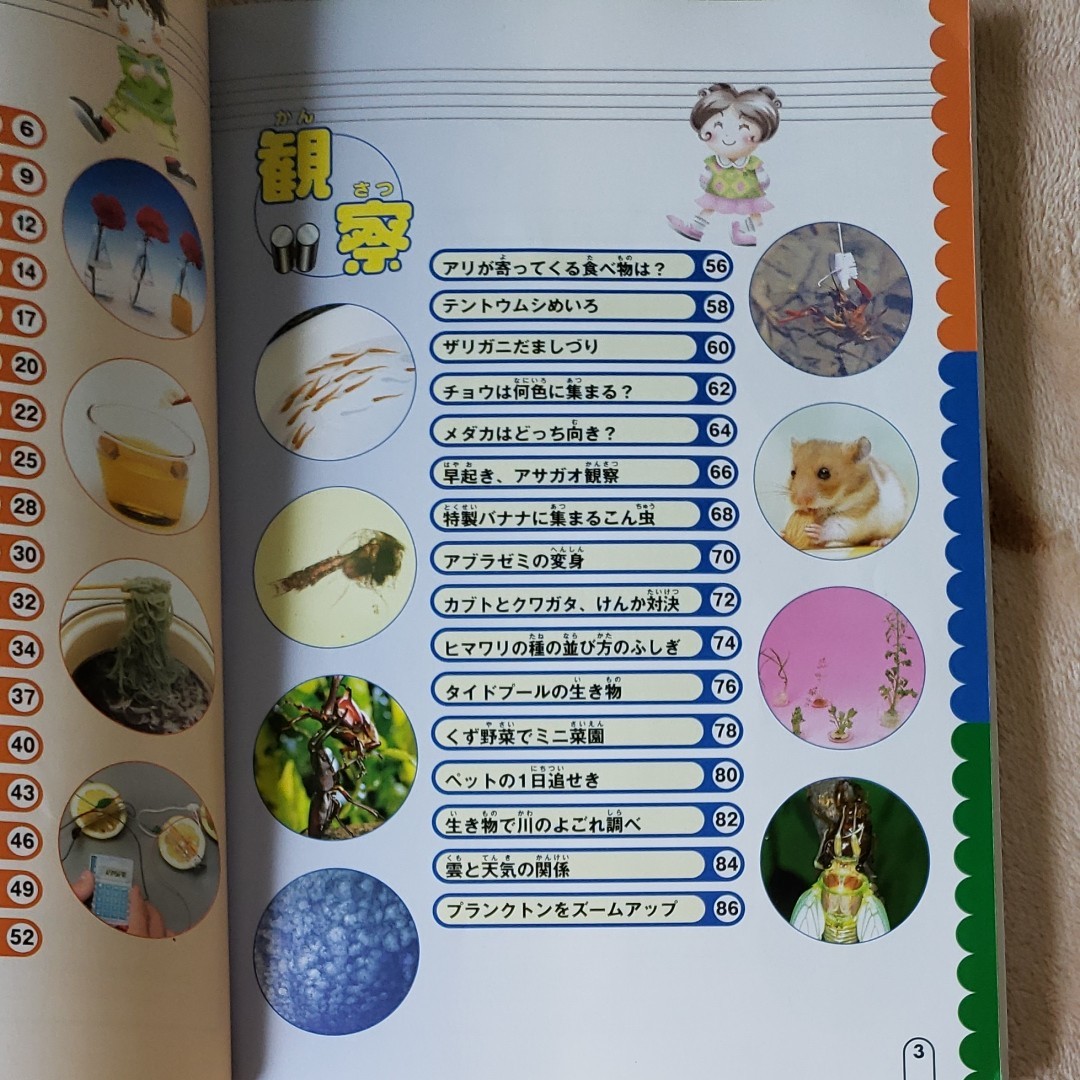 Paypayフリマ 小学生の自由研究 Paypayフリマ 小学生の自由研究