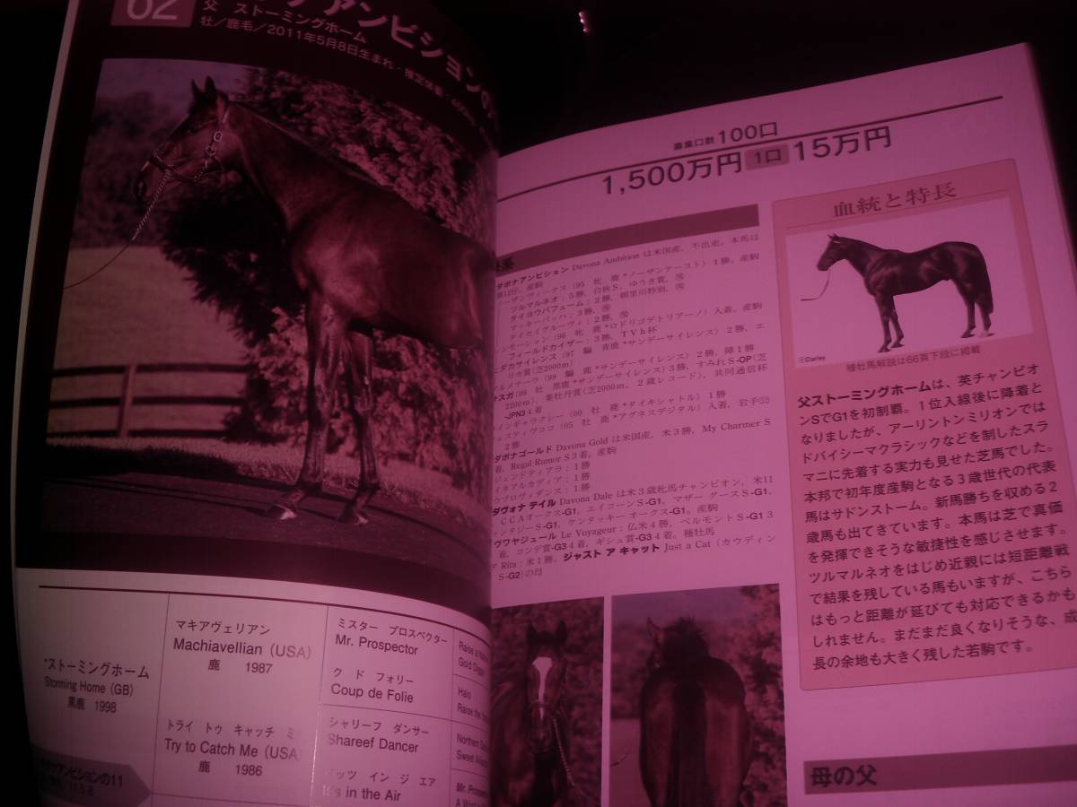 ラフィアン、ウイン　2012年 2次募集馬カタログ　DVD付。_画像2