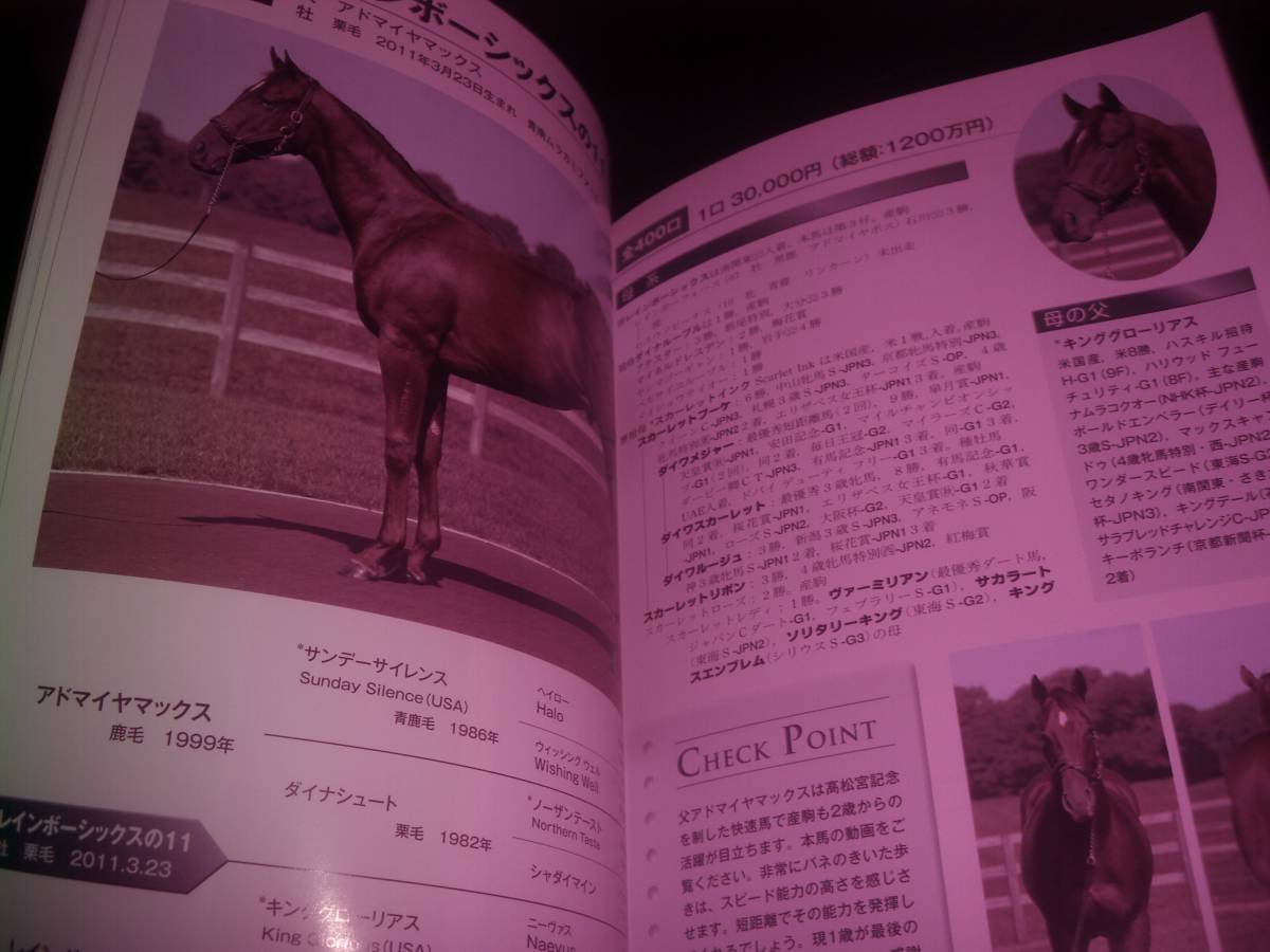 ラフィアン、ウイン　2012年 2次募集馬カタログ　DVD付。_画像4