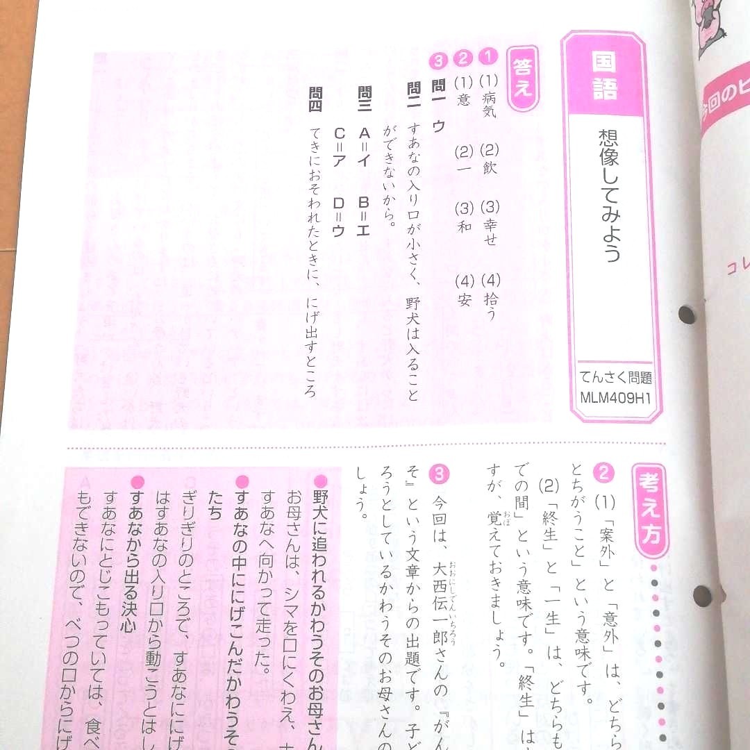 Z会 エブリィスタディ 小4コース 11月12月号 添削問題及び答え Z会 エブリィスタディ 小4コース 11月12月号 添削問題及び答え