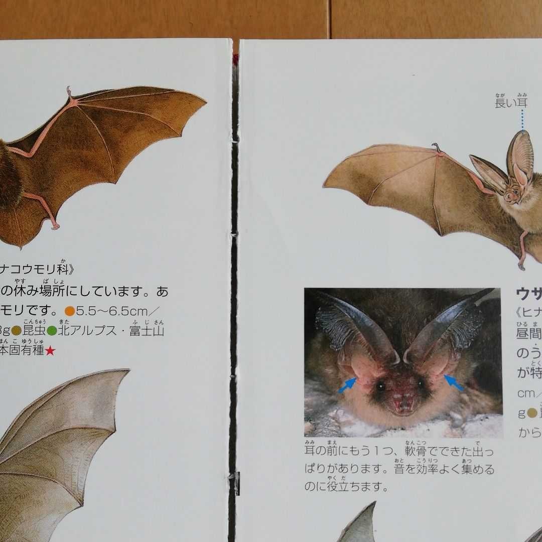 Paypayフリマ 小学館の図鑑 Neo 動物 Paypayフリマ 小学館の図鑑 Neo 動物