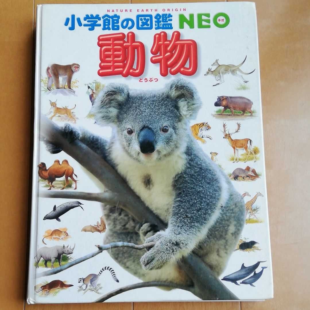 小学館の図鑑 NEO 動物|Yahoo!フリマ(旧PayPayフリマ) 小学館の図鑑 NEO 動物|Yahoo!フリマ(旧PayPayフリマ)