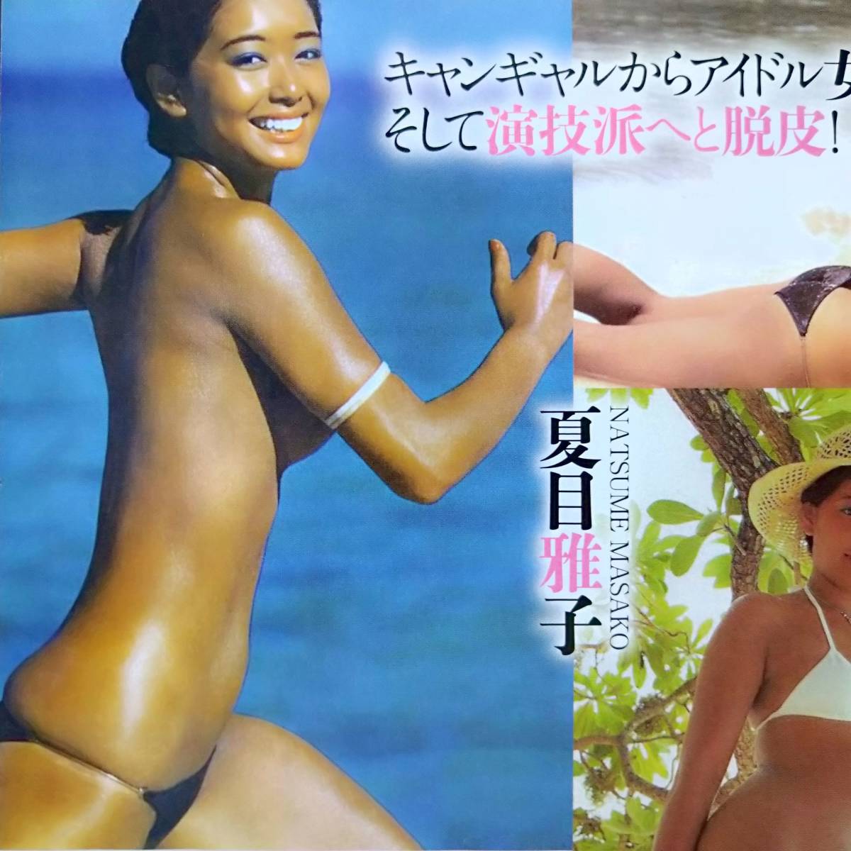 夏目雅子nude投稿画像452枚 増田恵子nude 夏目雅子nude投稿画像452枚 増田恵子nude