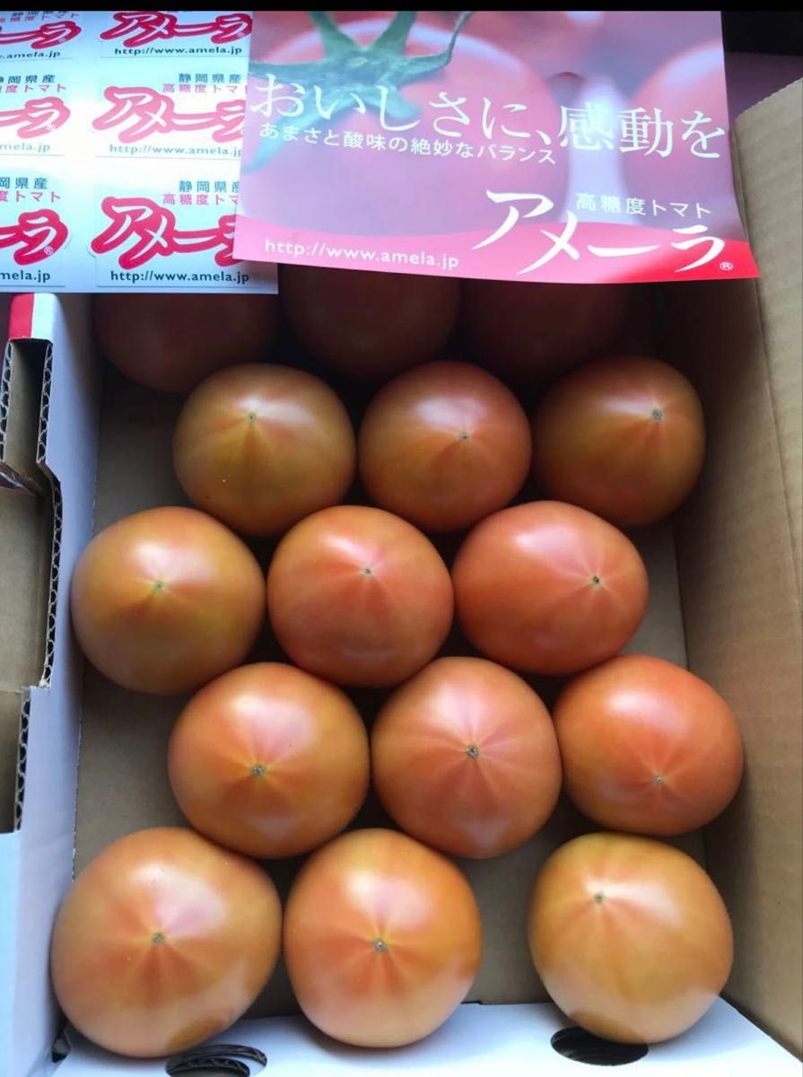 1ケース　アメーラトマト　自信あります　高糖度　フルーツトマト　品質鮮度抜群！