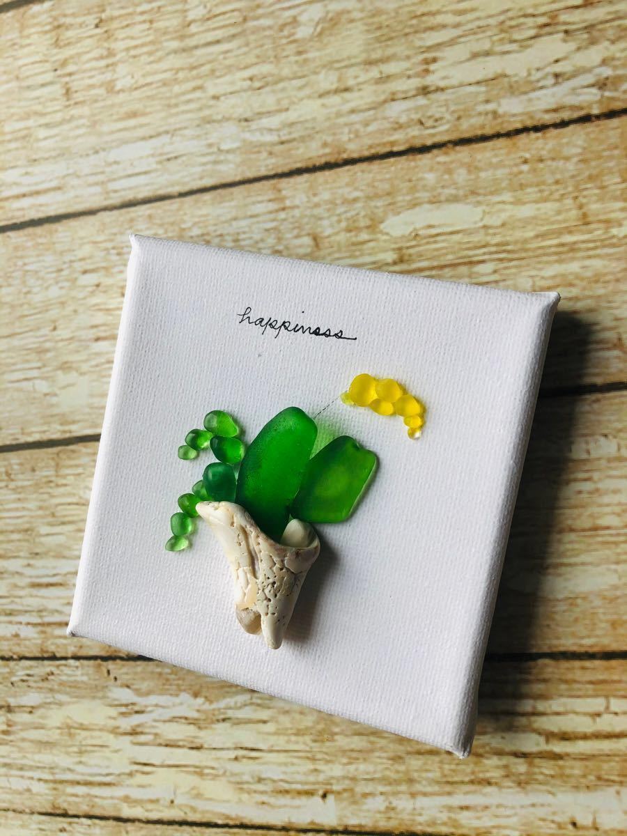 【メール便送料無料対応可】 シーグラスアート 雑貨 欧米 ヒーリングアート サボテン 観葉植物 アート+写真