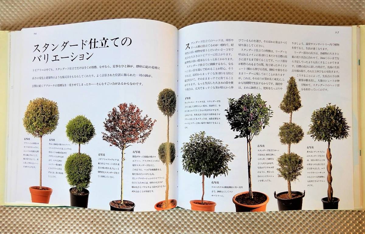 AP4 トピアリーをつくろう TOPIARY AND GREEN SCULPTURE / ガーデニング 庭 造園 「緑の彫刻」「鉢仕立て」の画像4