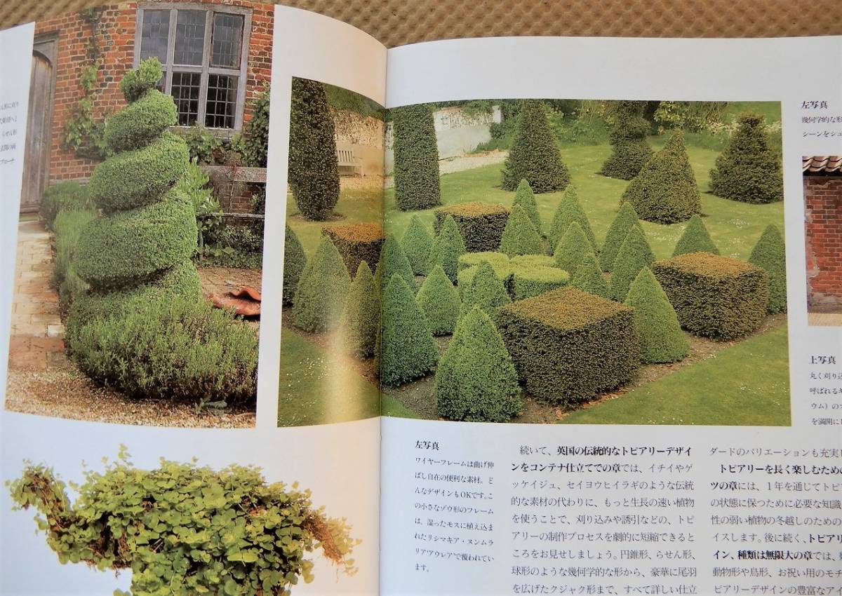 AP4 トピアリーをつくろう TOPIARY AND GREEN SCULPTURE / ガーデニング 庭 造園 「緑の彫刻」「鉢仕立て」の画像3