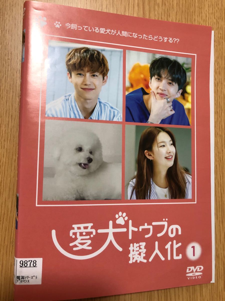 Paypayフリマ 韓国ドラマ 愛犬トゥブの擬人化 レンタル落ち Dvd3枚 Paypayフリマ 韓国ドラマ 愛犬トゥブの擬人化 レンタル落ち Dvd3枚