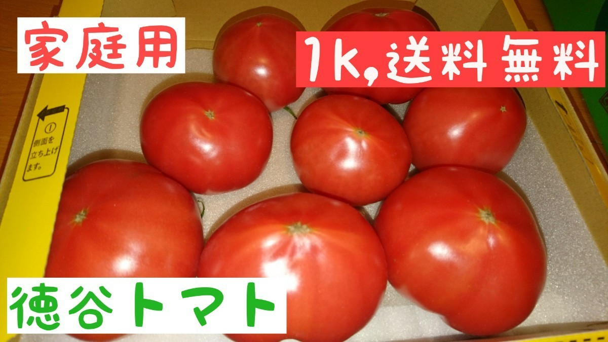 Paypayフリマ 高知県産 徳谷トマト 家庭用 送料無料 1k Paypayフリマ 高知県産 徳谷トマト 家庭用 送料無料 1k