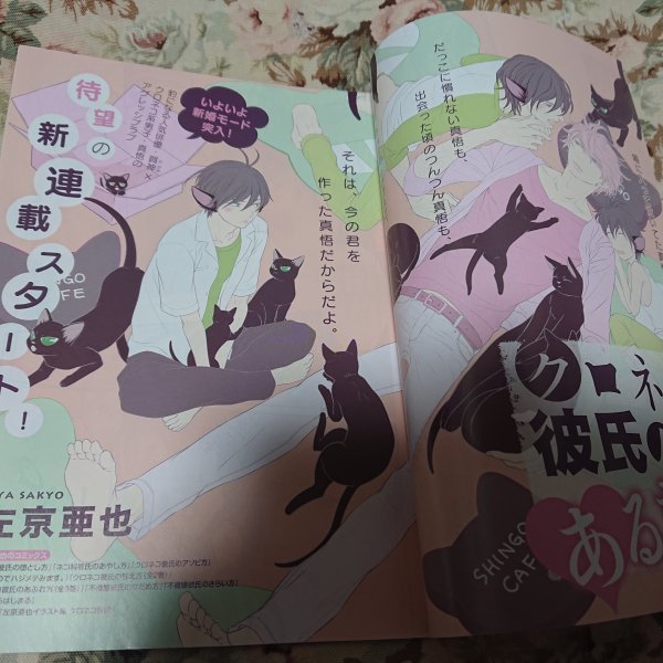 ヤフオク Bl雑誌切抜 左京亜也 クロネコ彼氏のあるき方 ヤフオク Bl雑誌切抜 左京亜也 クロネコ彼氏のあるき方