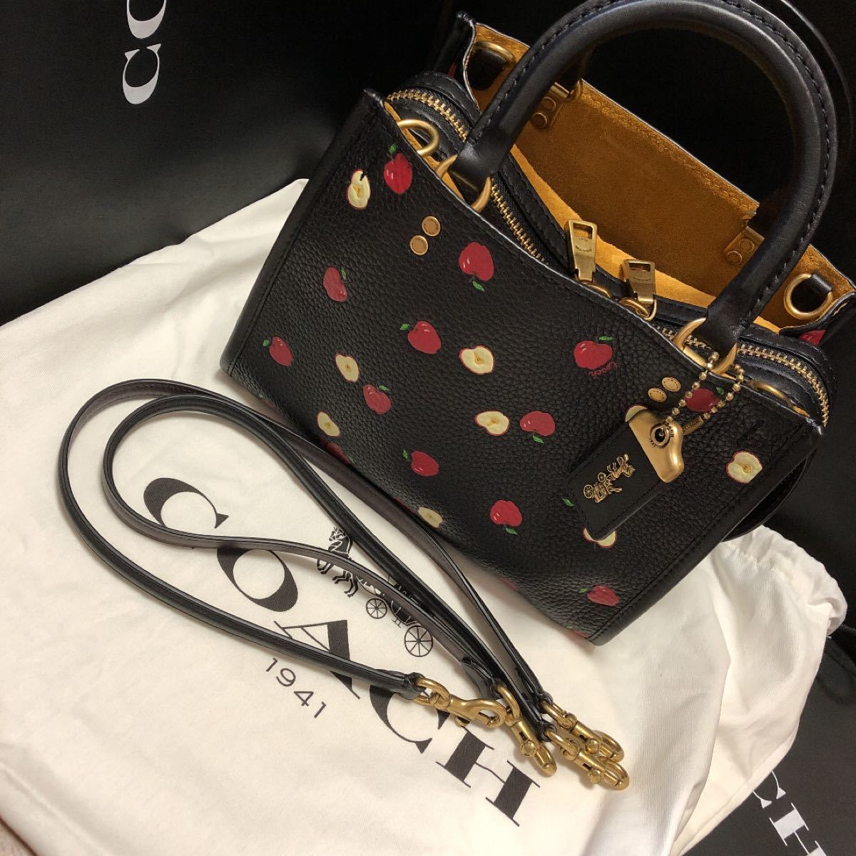 コーチ アップル ローグ ショルダーバッグ COACH 新品 未使用 2way