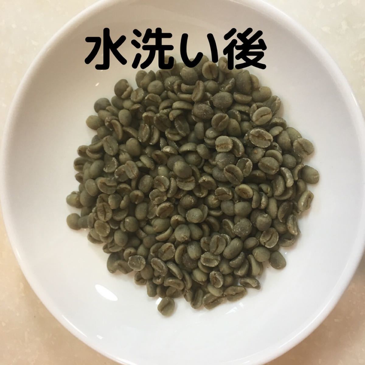 自家焙煎 ケニア　ピンクフラミンゴ　150g(豆又は粉)匿名配送