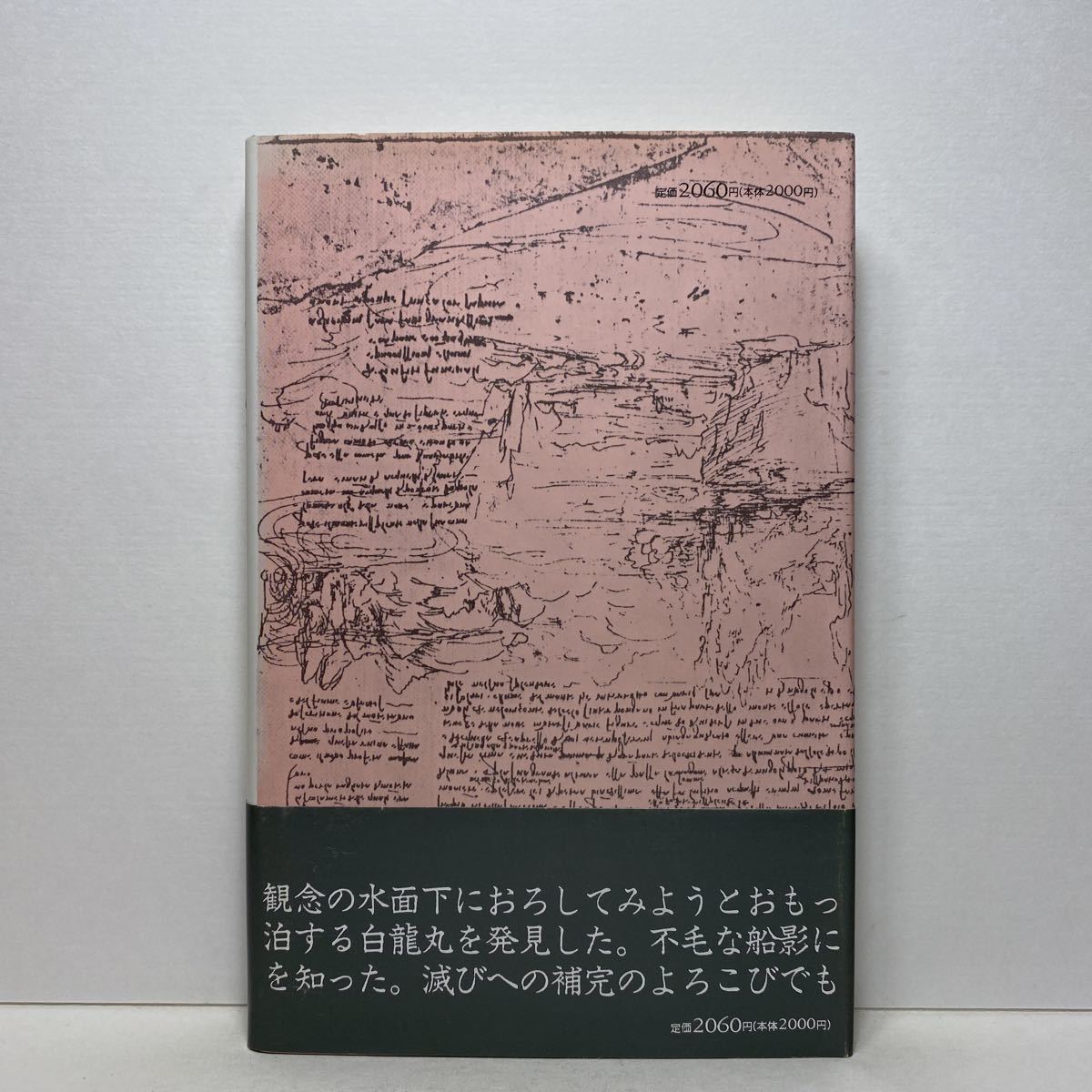 ア5/補完される風景 伊良子正 想潮社 1990年 初版 単行本 送料180円（ゆうメール）_画像3