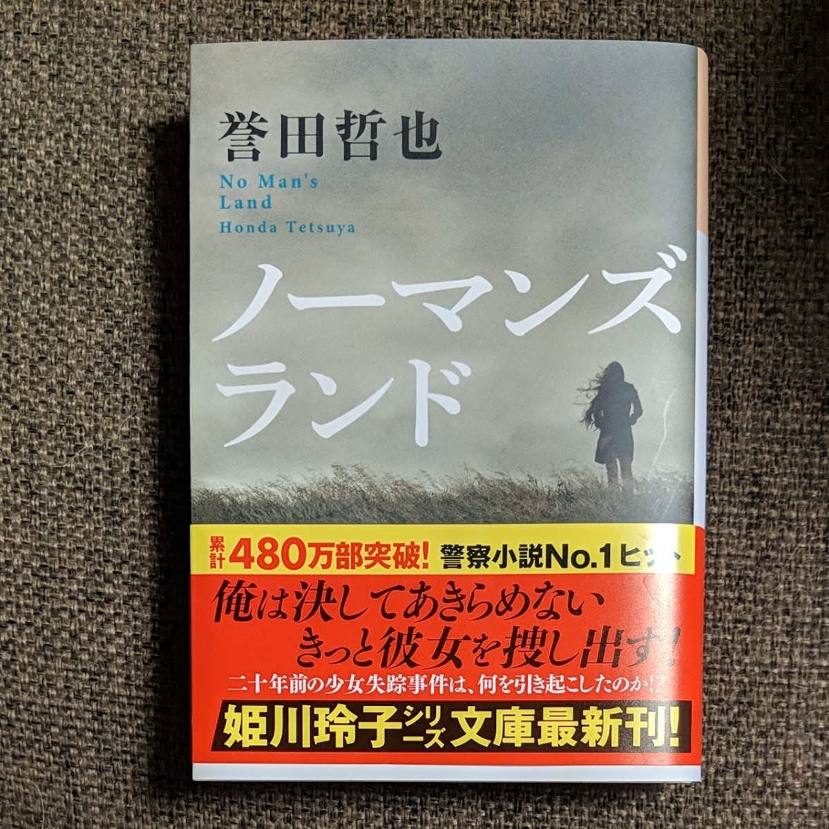 ノーマンズランド 誉田哲也