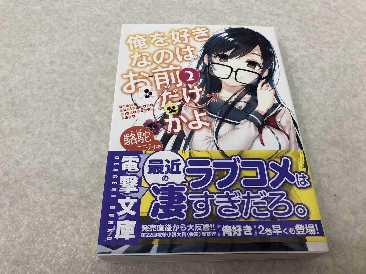 【Z-5】　　俺を好きなのはお前だけかよ 2 小説