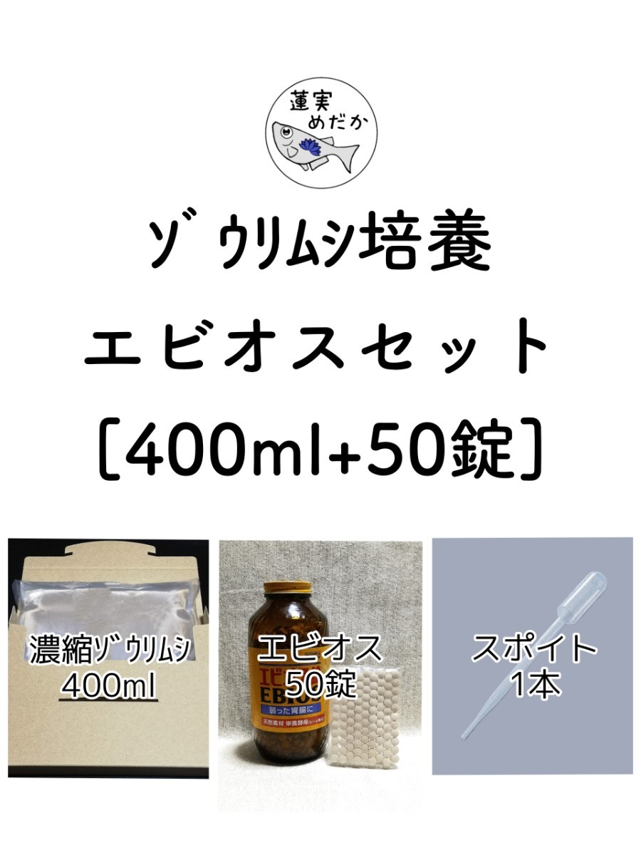 Paypayフリマ ゾウリムシ400ml培養エビオスセット メダカ 針子稚魚 活餌 蓮実めだか Paypayフリマ ゾウリムシ400ml培養エビオスセット メダカ 針子稚魚 活餌 蓮実めだか