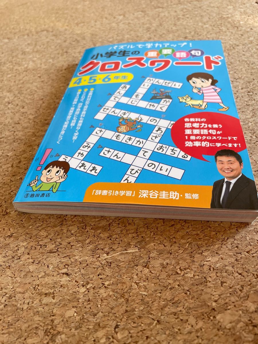 Paypayフリマ 小学生のクロスワード 重要語句 4年生 5年生 6年生 高学年