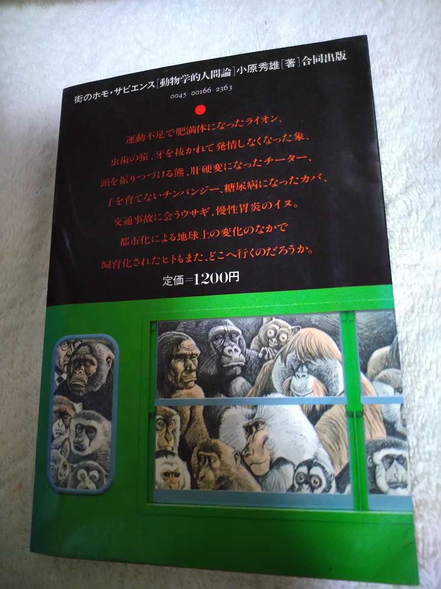 中古 本 街のホモサピエンス 動物学的人間論 小原英雄 合同出版 1981年 初版 人間形成 都市化 文明 生活史の終活部分 寿命 科学的人間論