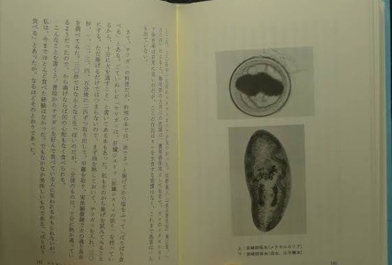  prompt decision!...*.. history [ insect. taste ] cockroach sake / rhinoceros beetle. . roasting /.... juice / insect ./ rumen msi heaven ../yu abrasion ka. condiment furikake rice... including in a package welcome 