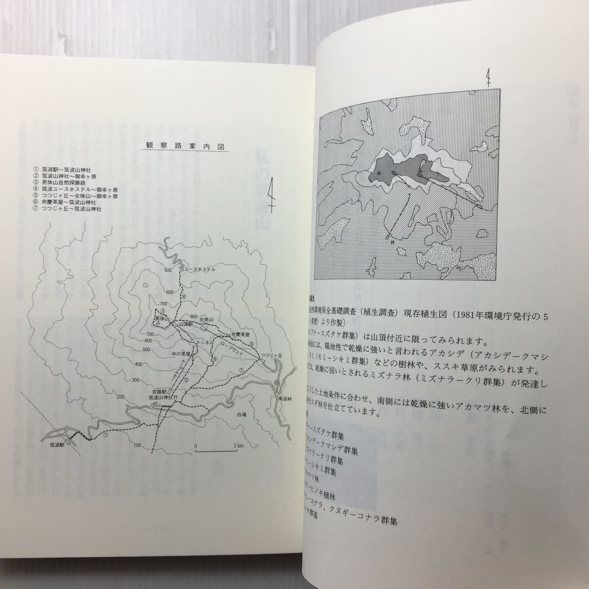 zaa-154♪筑波山 (つくばの自然誌 (1)) 単行本 1992/6/1 学園 zaa-154♪筑波山 (つくばの自然誌 (1)) 単行本 1992/6/1 学園