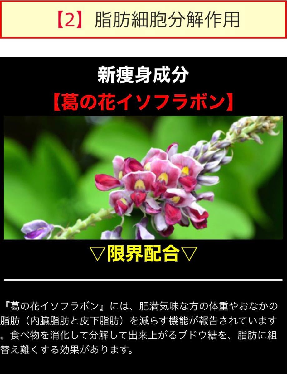 今だけ値下げ中❗️燃焼系 ダイエットサプリ スリマーロジック  約4ヶ月 120粒