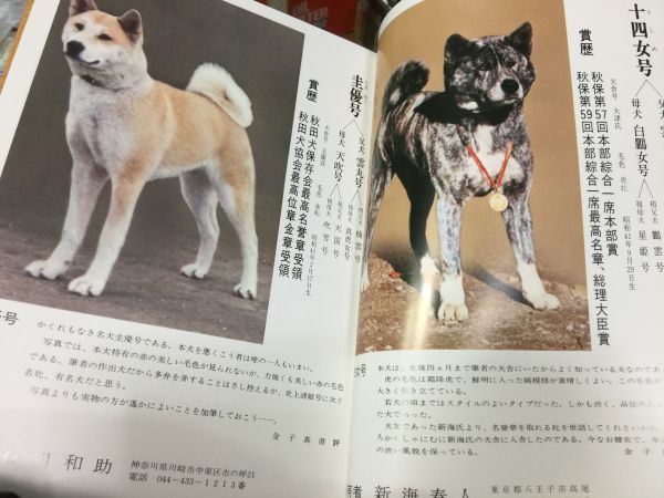 Yahoo!オークション - 全国有名秋田犬 写真集 秋田犬新聞社 Yahoo!オークション - 全国有名秋田犬 写真集 秋田犬新聞社