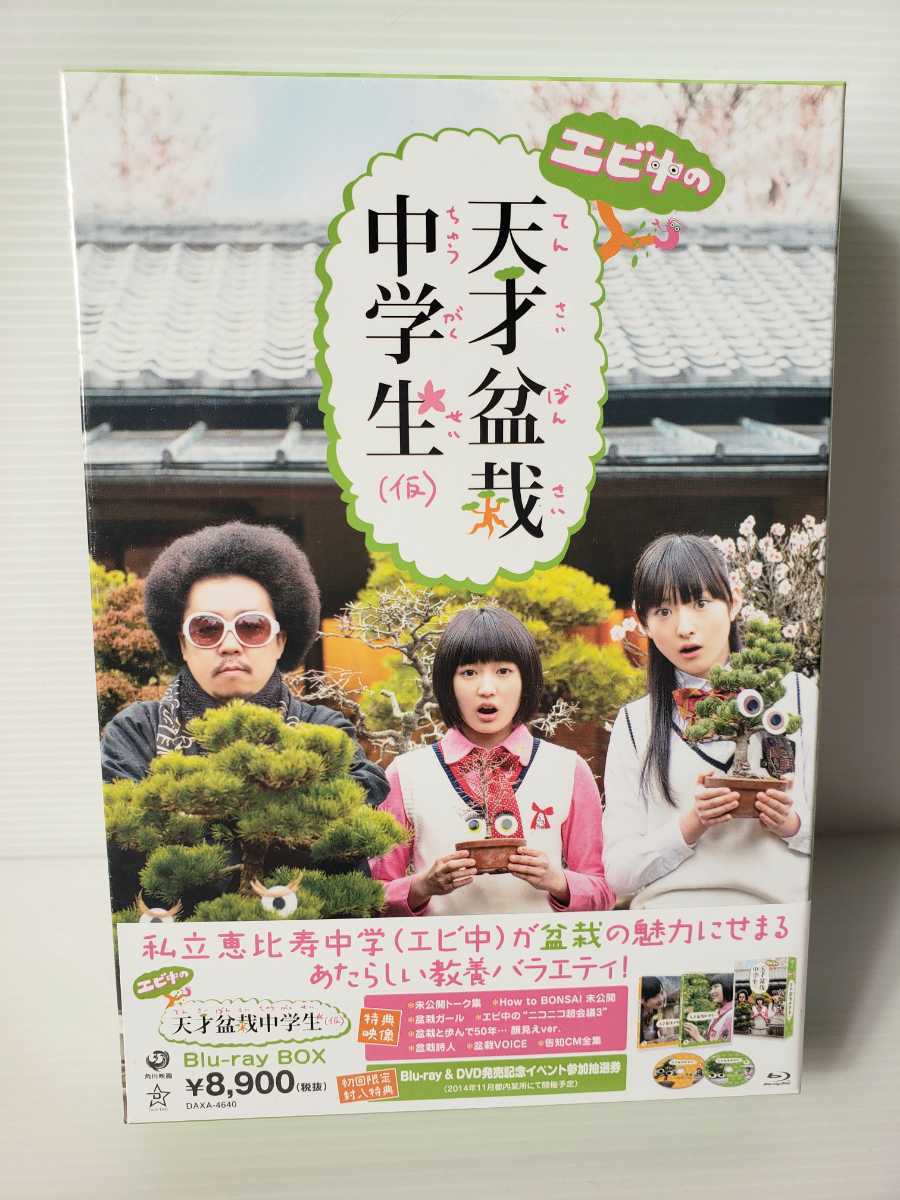 [.. packet postage charge ] shrimp middle. heaven -years old bonsai junior high school student ( temporary ) Blu-ray BOX Shiritsu Ebisu Chuugaku new goods pine ... Kashiwa tree . hatchet Ikeda .rekisi shrimp middle 