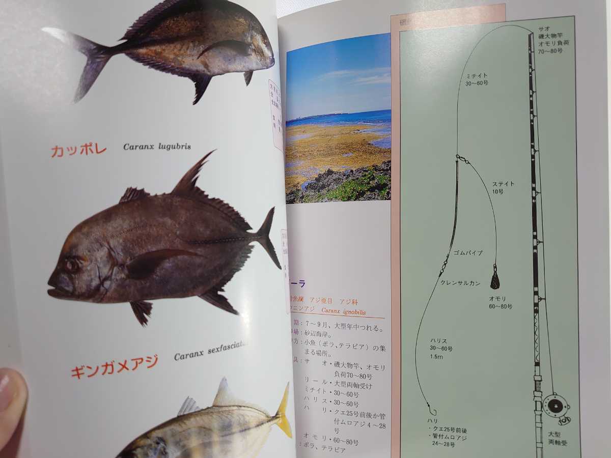 沖縄 釣りと魚の図鑑 最新の仕掛けと魚たち リュウホン釣り同好会 アジ タイ フエタイ フエフキ 古本 釣り フィッシング 売買されたオークション情報 Yahooの商品情報をアーカイブ公開 オークファン Aucfan Com 沖縄 釣りと魚の図鑑 最新の仕掛けと魚たち リュウホン釣り同好会 アジ タイ フエタイ フエフキ 古本 釣り フィッシング 売買されたオークション情報 Yahooの商品情報をアーカイブ公開 オークファン Aucfan Com