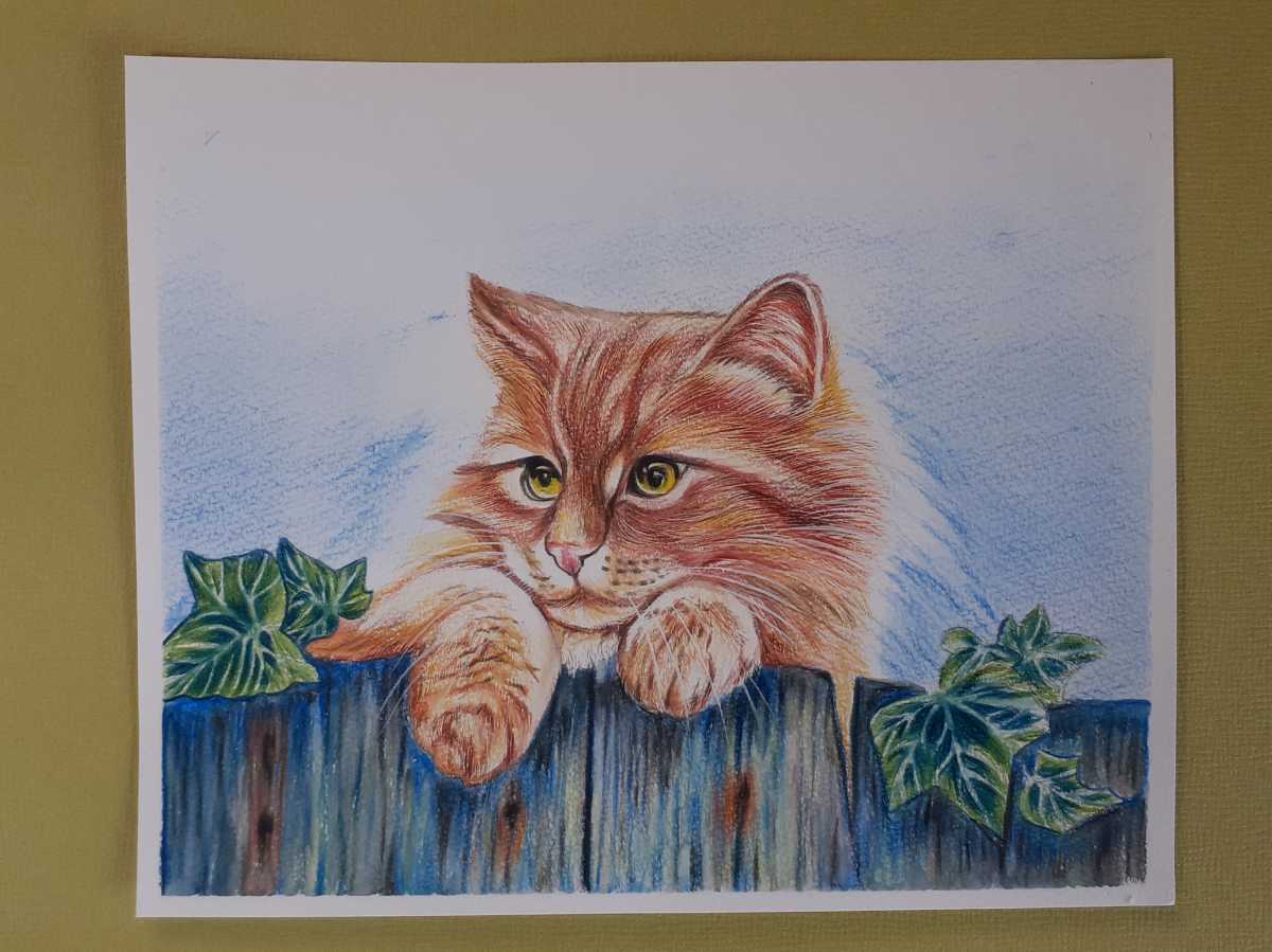  color pencil ..... cat 