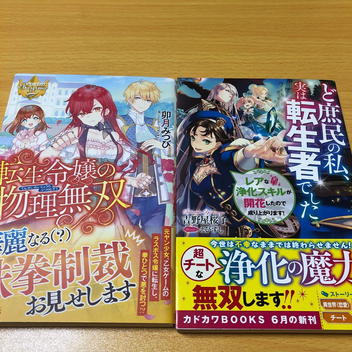 Paypayフリマ ど庶民の私 実は転生者でした レアな浄化スキルが開花したので成り上がります 転生令嬢の物理無双 Paypayフリマ ど庶民の私 実は転生者でした レアな浄化スキルが開花したので成り上がります 転生令嬢の物理無双