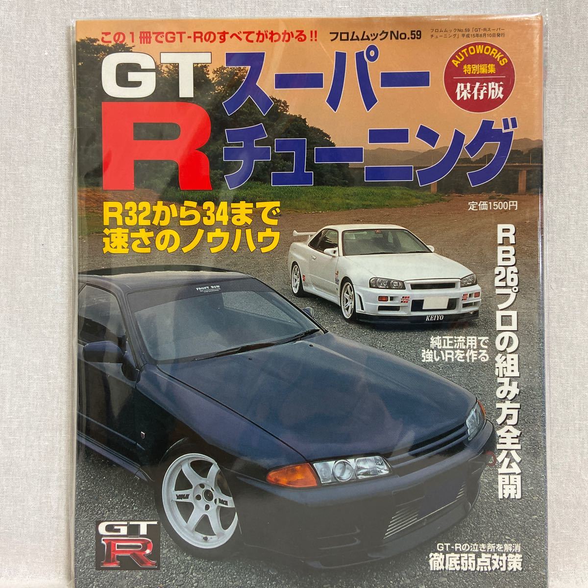 Bibian 比比昂- 保存版GT-R スーパーチューニングR32 R33 R34