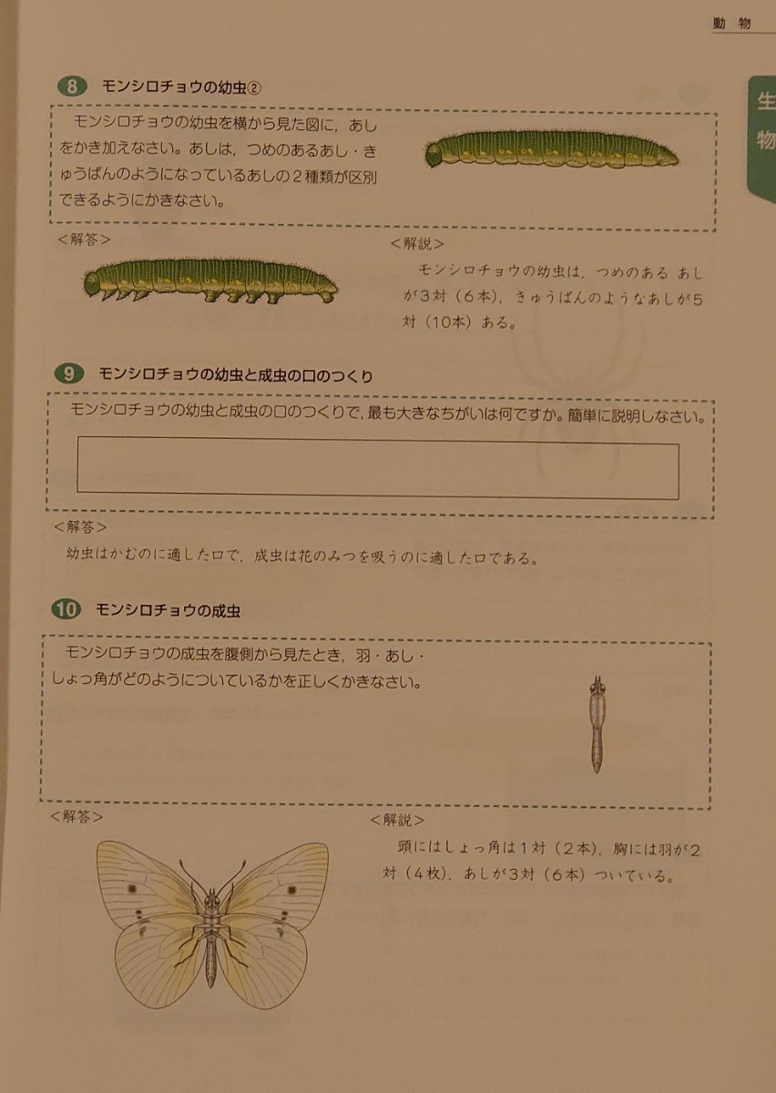 四谷大塚 四科のまとめ 理科 中学受験 予習シリーズ