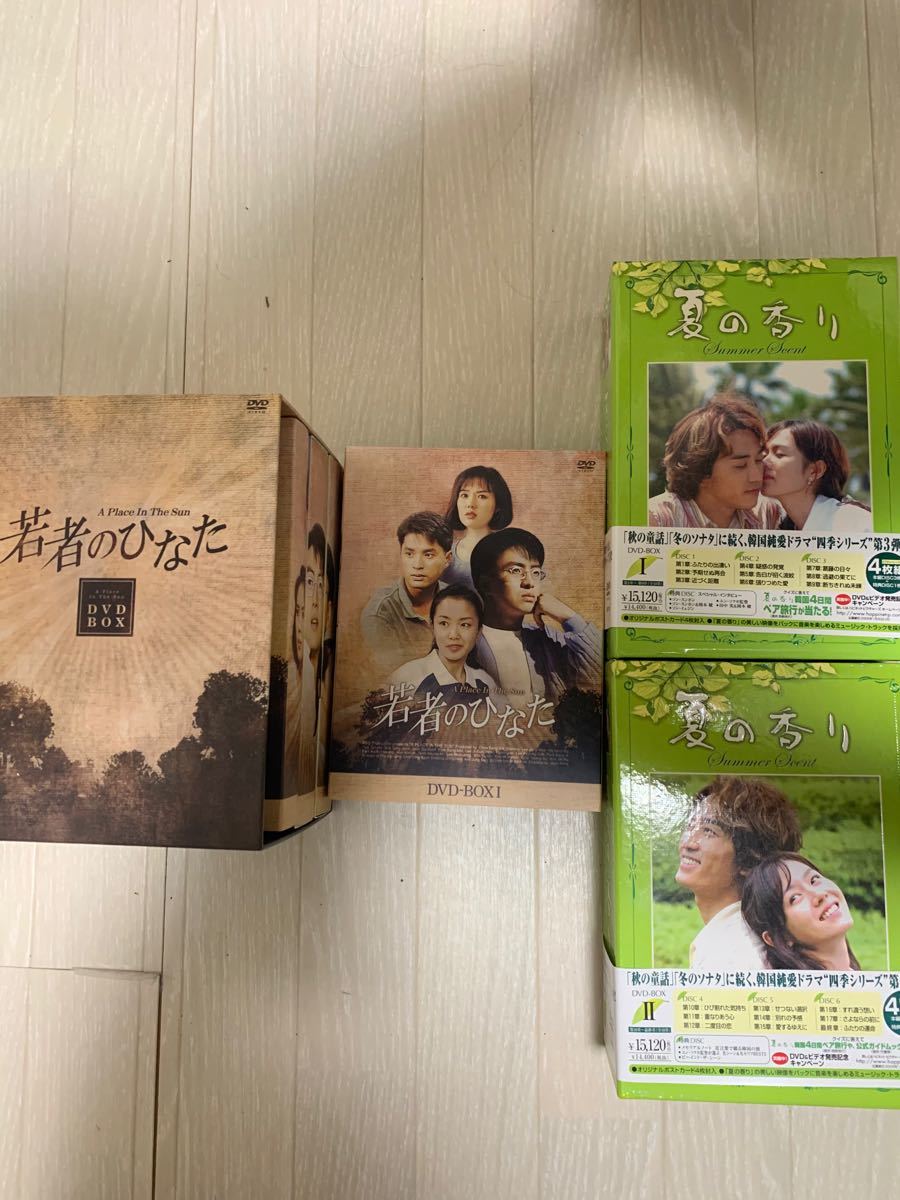 韓流　韓国　ペヨンジュンDVD セット　太王四神記 冬のソナタ　若者のひなた　裸足の青春　夏の香り