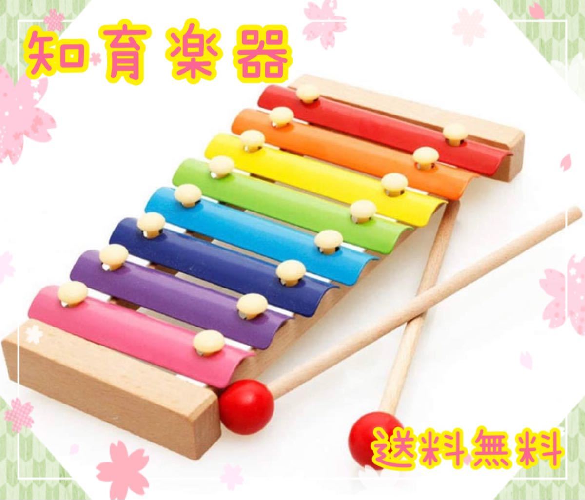 Paypayフリマ 知育玩具 楽器 鉄琴 木琴 音感 リズム感 音楽 赤ちゃん 子供 カラフル Paypayフリマ 知育玩具 楽器 鉄琴 木琴 音感 リズム感 音楽 赤ちゃん 子供 カラフル