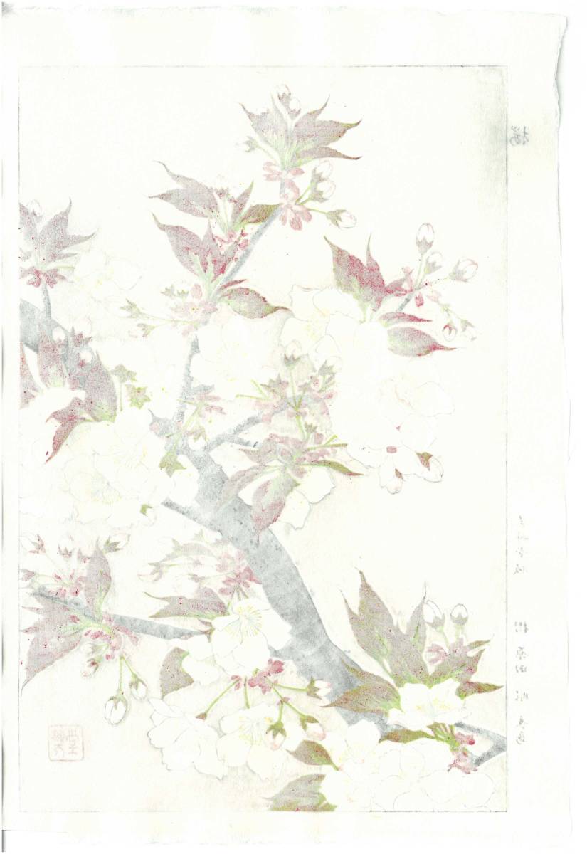 河原崎奨堂 (Kawarazaki Shodo) (1899~1973) 木版画 F016 桜 初版昭和