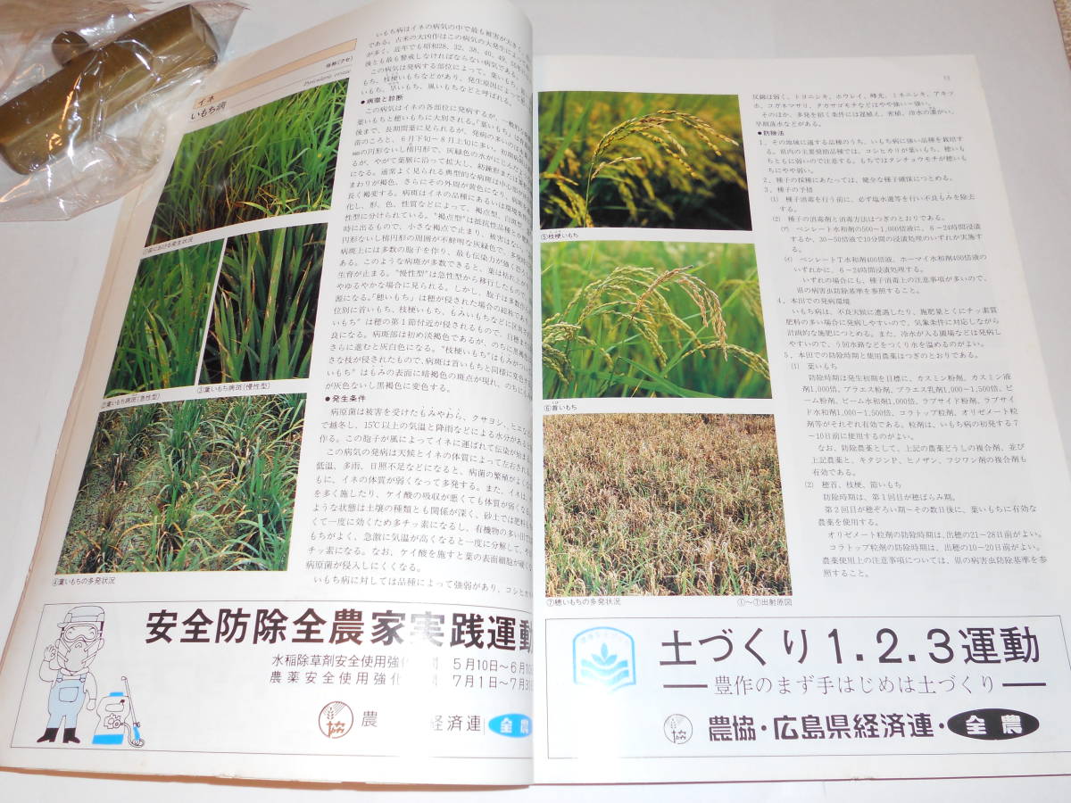 i... agriculture work thing making . sick . insect .. diagnosis . pest control .. also illustrated reference book agriculture . same collection .