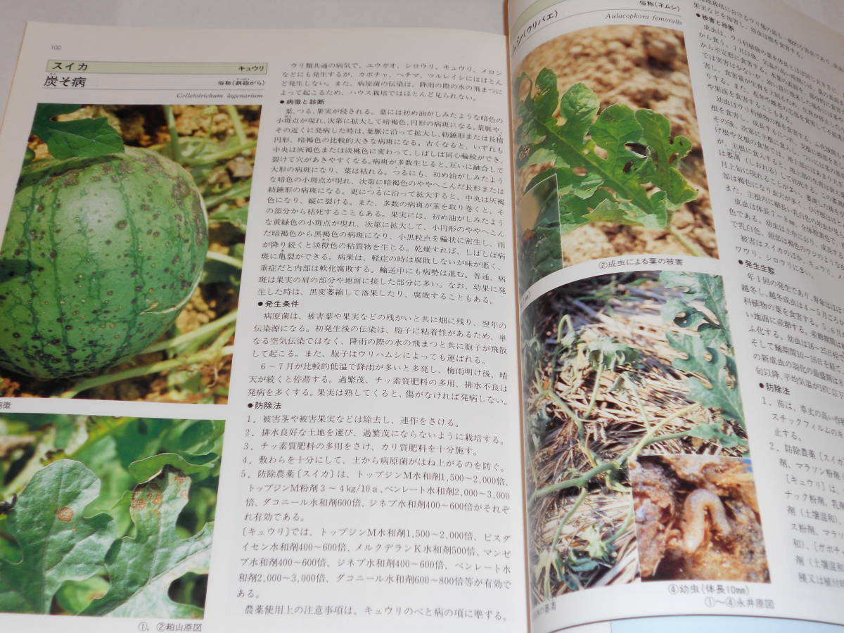 i... agriculture work thing making . sick . insect .. diagnosis . pest control .. also illustrated reference book agriculture . same collection .