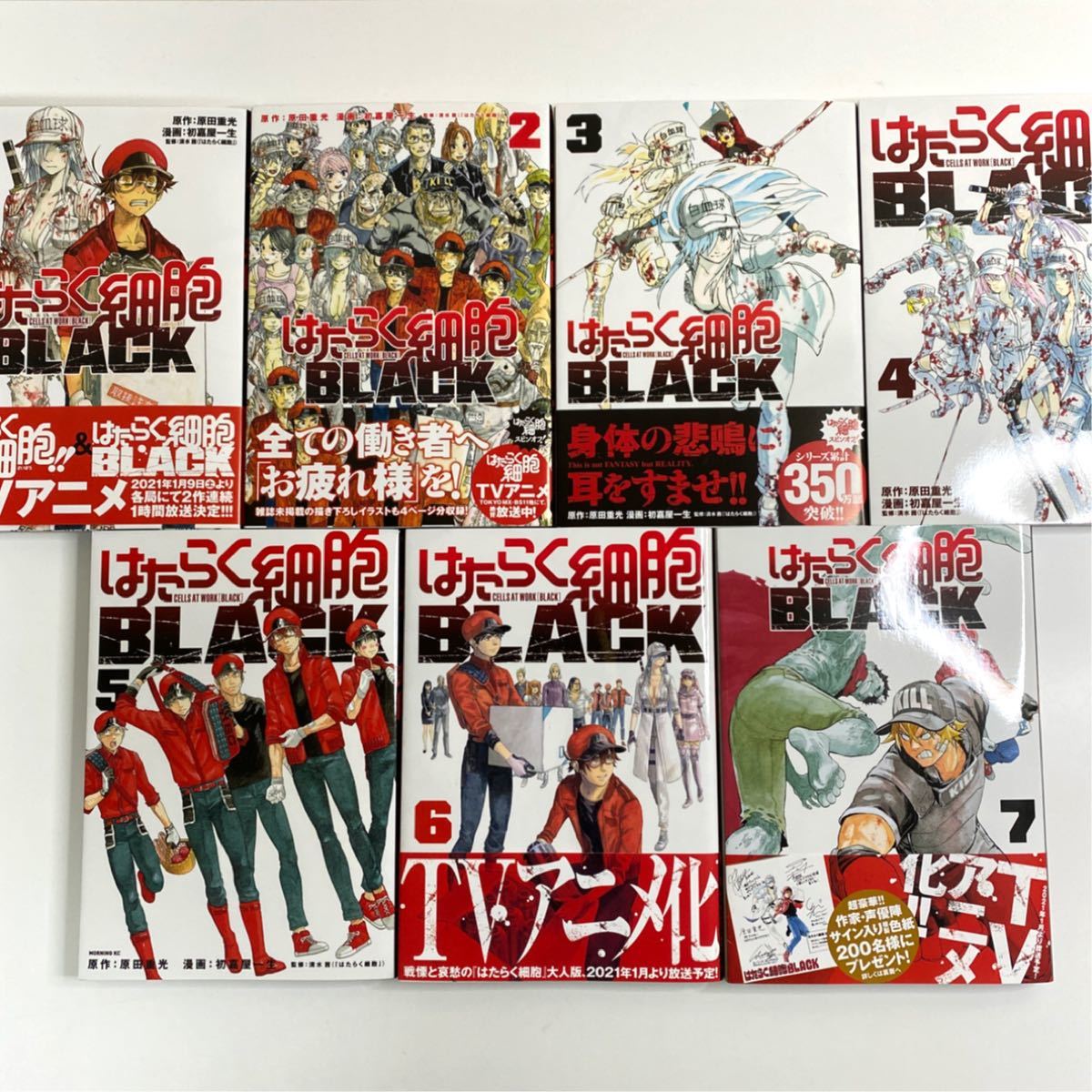 新品含む 【はたらく細胞/BLACK/はたらかない細胞/はたらく 新品含む 【はたらく細胞/BLACK/はたらかない細胞/はたらく