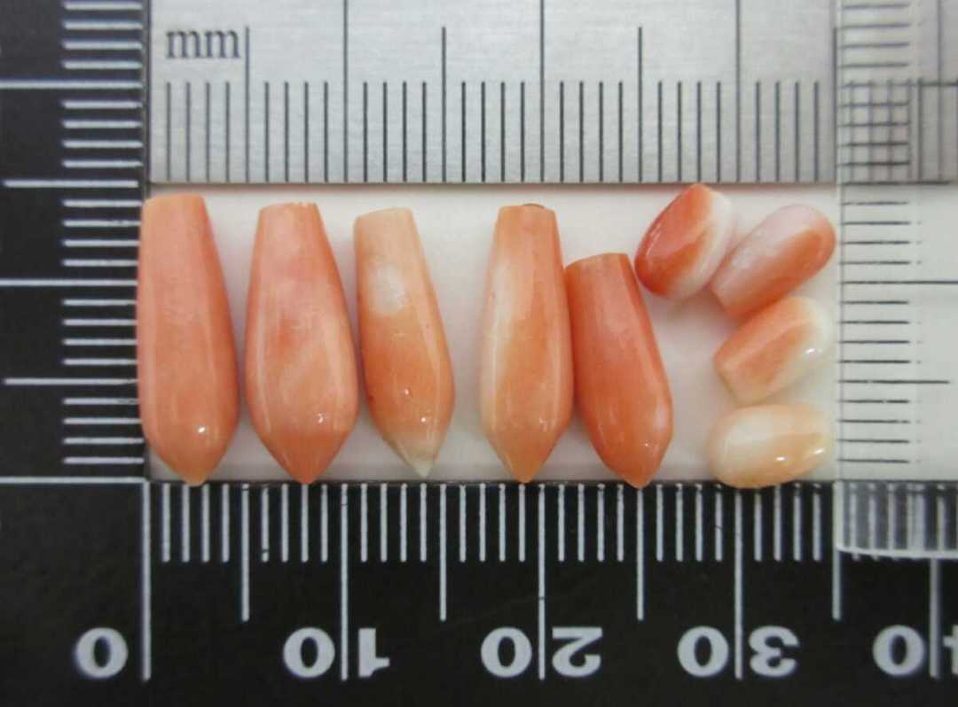 [TOP] персик .. коралл 2.83g разрозненный комплект брошь подвеска с цепью netsuke u730.