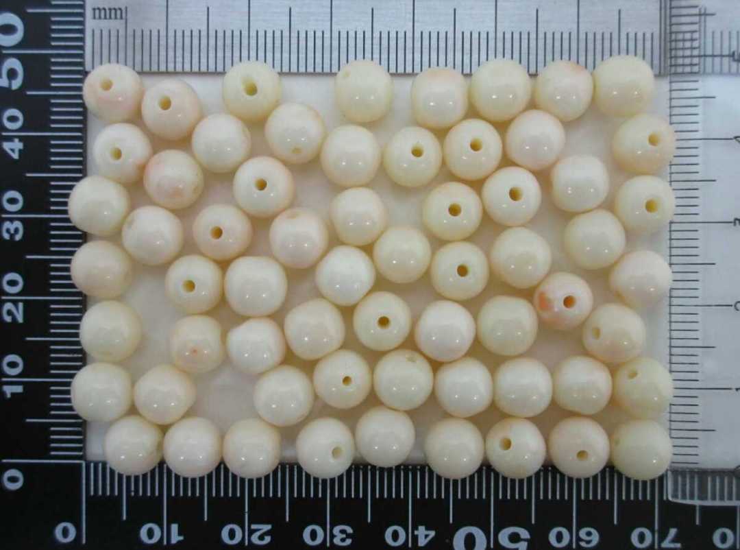 【TOP】珊瑚 サンゴ 31.8g 両穴ルース セット 羽織紐 ブレスレット ネックレス 根付 i565.