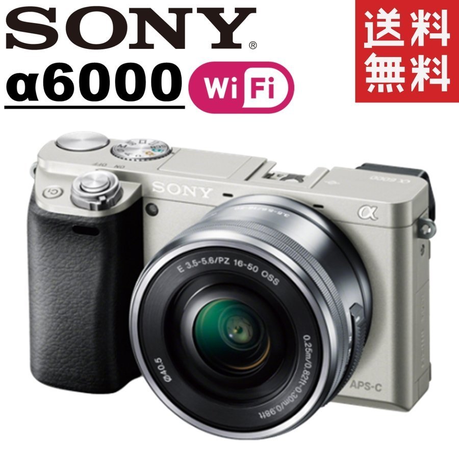 ソニーα6000グレーボディレンズ備品セット-