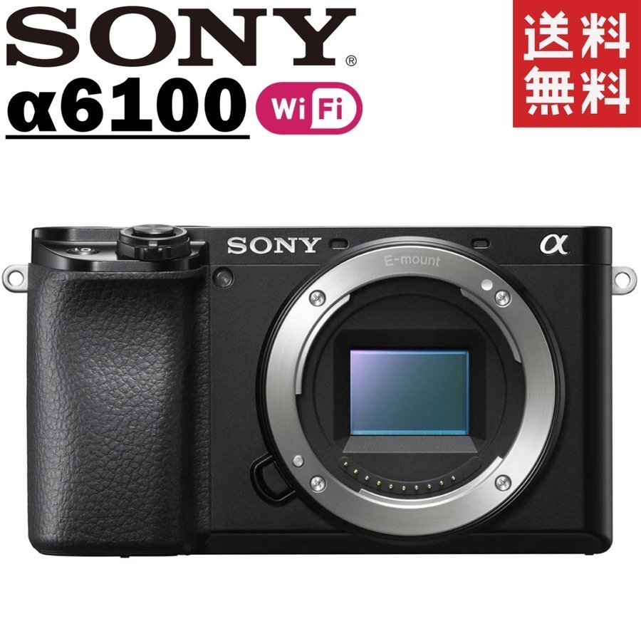 ソニー SONY α6100 ILCE-6100 ボディ ブラック ミラーレス カメラ レンズ